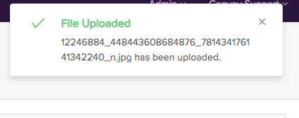 FileUploaded.png